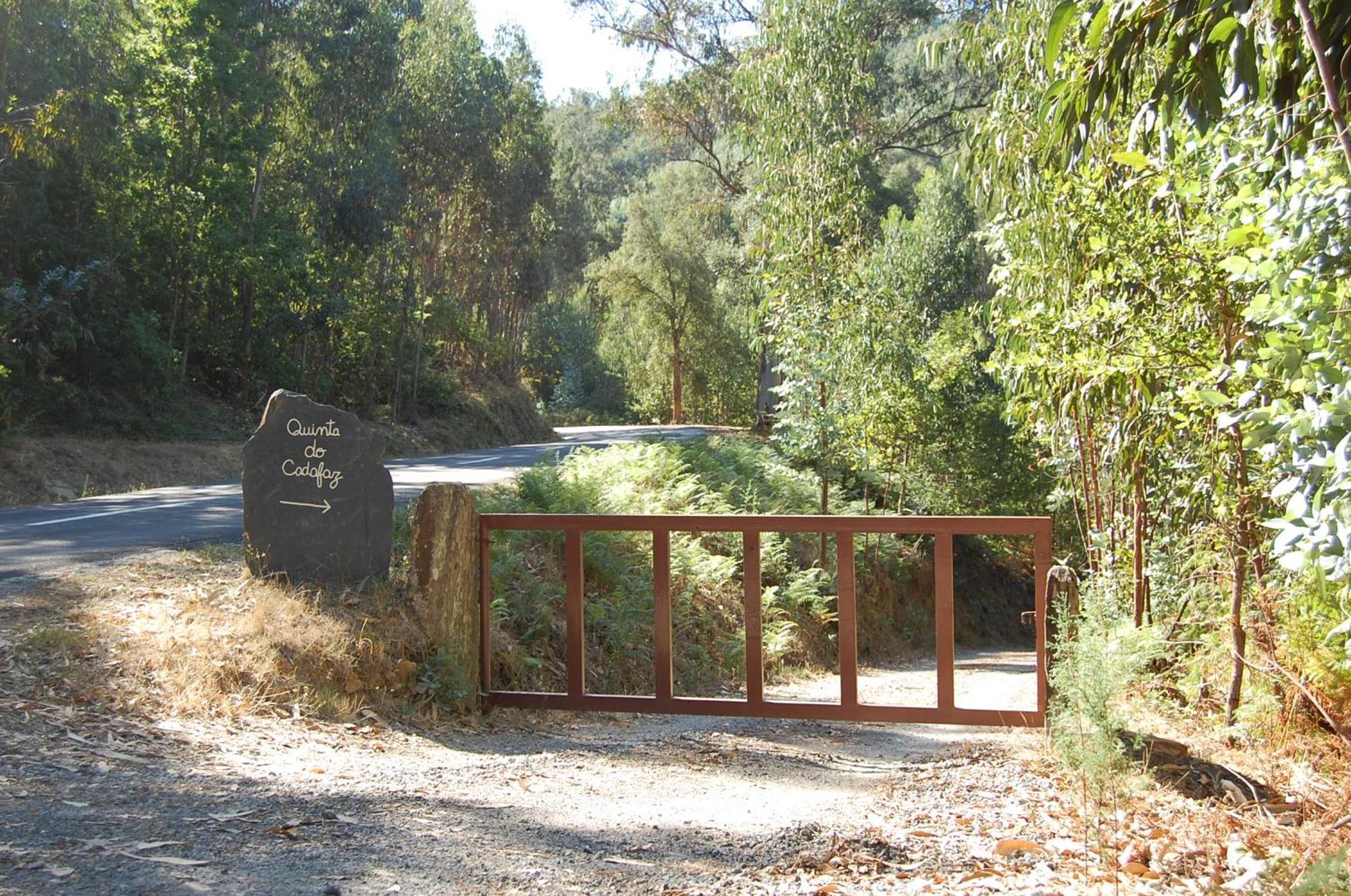 Casa De Campo "Quinta Do Cadafaz" 알바렝가 외부 사진